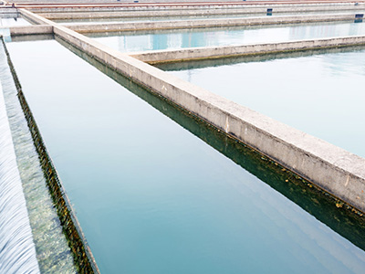 工業(yè)廢水處理技術總共有哪些